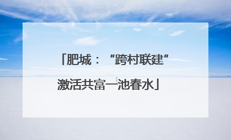 肥城：“跨村联建”激活共富一池春水