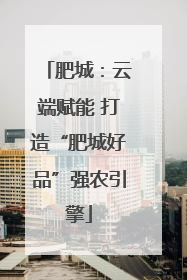 肥城：云端赋能 打造“肥城好品”强农引擎