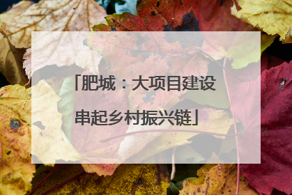 肥城：大项目建设串起乡村振兴链