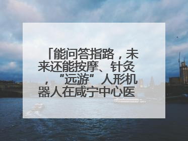 能问答指路，未来还能按摩、针灸，“远游”人形机器人在咸宁中心医院上岗