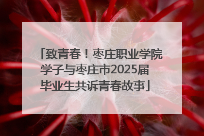 致青春！枣庄职业学院学子与枣庄市2025届毕业生共诉青春故事