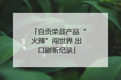 自贡荣县产品“火辣”闯世界 出口刷新纪录