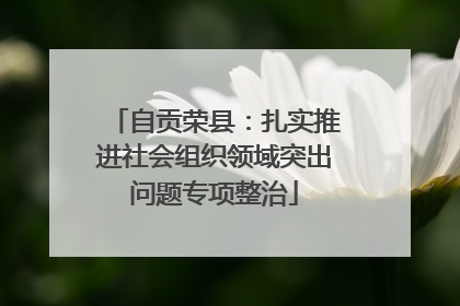 自贡荣县：扎实推进社会组织领域突出问题专项整治