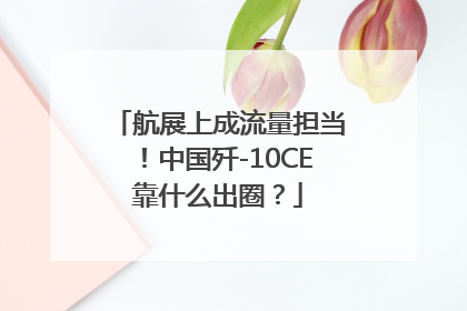 航展上成流量担当！中国歼-10CE靠什么出圈？