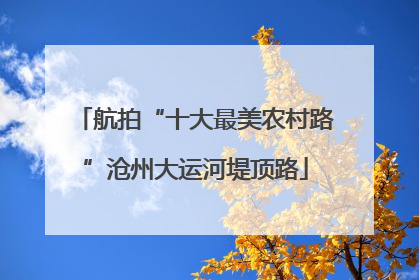航拍“十大最美农村路”沧州大运河堤顶路
