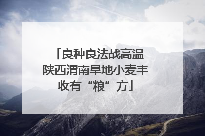 良种良法战高温 陕西渭南旱地小麦丰收有“粮”方