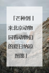 芒种到丨来北京动物园看动物们的夏日纳凉图鉴