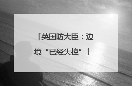 英国防大臣：边境“已经失控”