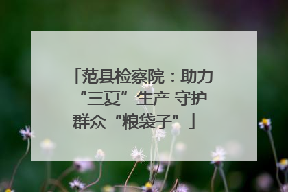 范县检察院：助力“三夏”生产 守护群众“粮袋子”