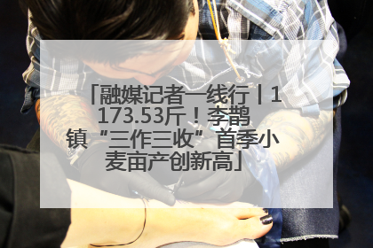 融媒记者一线行丨1173.53斤！李鹊镇“三作三收”首季小麦亩产创新高