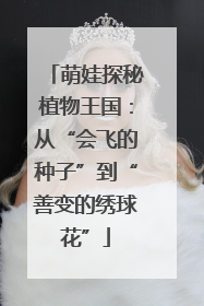 萌娃探秘植物王国：从“会飞的种子”到“善变的绣球花”