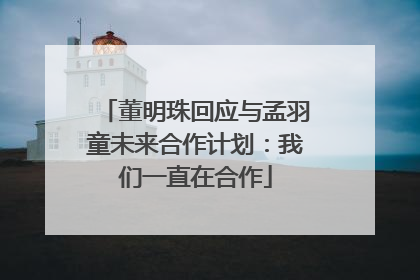 董明珠回应与孟羽童未来合作计划：我们一直在合作