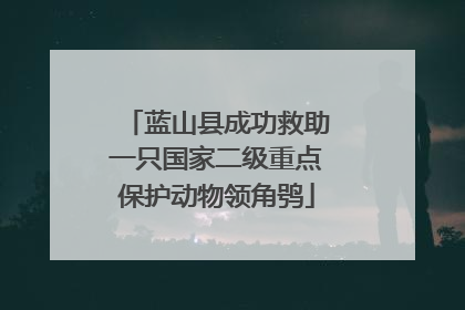 蓝山县成功救助一只国家二级重点保护动物领角鸮