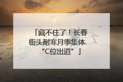 藏不住了！长春街头耐寒月季集体“C位出道”