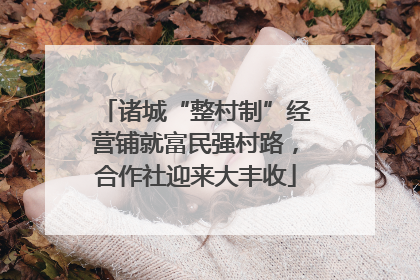 诸城“整村制”经营铺就富民强村路，合作社迎来大丰收