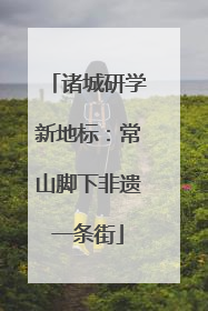 诸城研学新地标：常山脚下非遗一条街