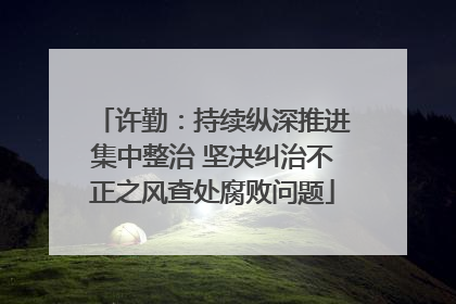 许勤：持续纵深推进集中整治 坚决纠治不正之风查处腐败问题