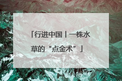 行进中国丨一株水草的“点金术”