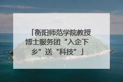 衡阳师范学院教授博士服务团“入企下乡”送“科技”
