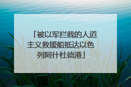 被以军拦截的人道主义救援船抵达以色列阿什杜德港
