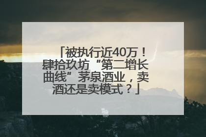 被执行近40万！肆拾玖坊“第二增长曲线”茅泉酒业，卖酒还是卖模式？