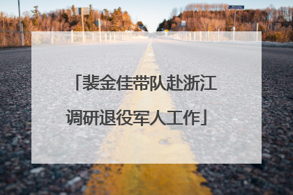 裴金佳带队赴浙江调研退役军人工作