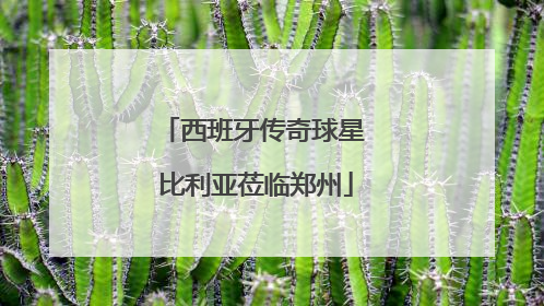 西班牙传奇球星 比利亚莅临郑州