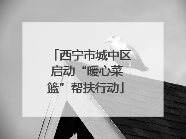 西宁市城中区 启动“暖心菜篮”帮扶行动