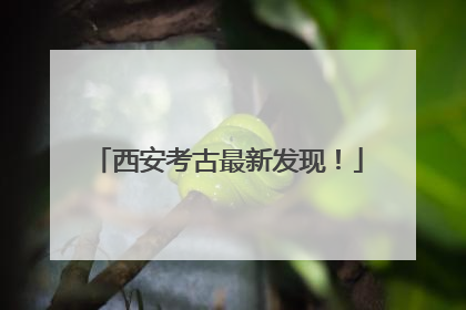 西安考古最新发现！