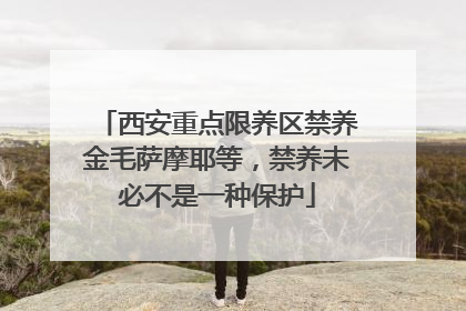 西安重点限养区禁养金毛萨摩耶等，禁养未必不是一种保护