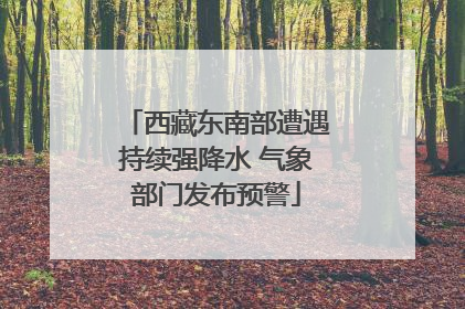 西藏东南部遭遇持续强降水 气象部门发布预警