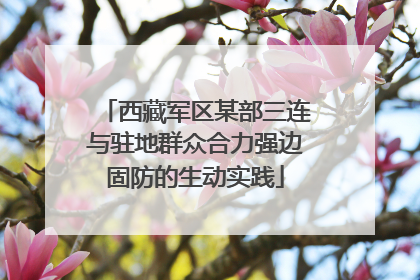 西藏军区某部三连与驻地群众合力强边固防的生动实践