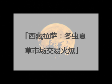 西藏拉萨：冬虫夏草市场交易火爆