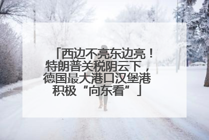 西边不亮东边亮！特朗普关税阴云下，德国最大港口汉堡港积极“向东看”