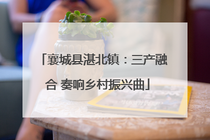 襄城县湛北镇：三产融合 奏响乡村振兴曲