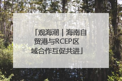 观海潮｜海南自贸港与RCEP区域合作互促共进
