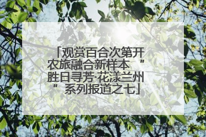 观赏百合次第开 农旅融合新样本 “胜日寻芳·花漾兰州”系列报道之七