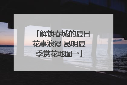 解锁春城的夏日花事浪漫 昆明夏季赏花地图→