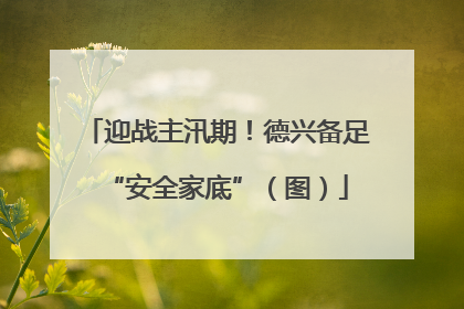 迎战主汛期！德兴备足“安全家底”（图）