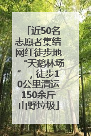近50名志愿者集结网红徒步地“天鹅林场”，徒步10公里清运150余斤山野垃圾