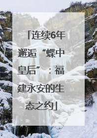连续6年邂逅“蝶中皇后”：福建永安的生态之约