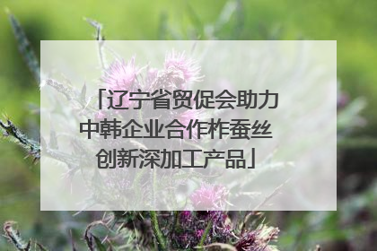 辽宁省贸促会助力中韩企业合作柞蚕丝创新深加工产品