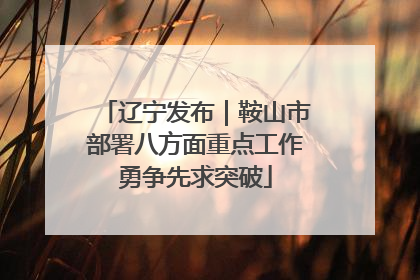 辽宁发布｜鞍山市部署八方面重点工作勇争先求突破