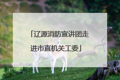 辽源消防宣讲团走进市直机关工委