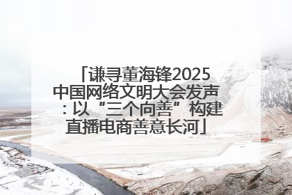 谦寻董海锋2025中国网络文明大会发声：以“三个向善”构建直播电商善意长河