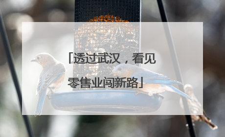 透过武汉，看见零售业闯新路