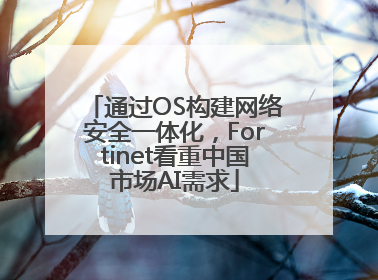 通过OS构建网络安全一体化，Fortinet看重中国市场AI需求