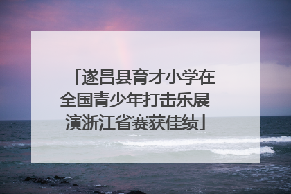遂昌县育才小学在全国青少年打击乐展演浙江省赛获佳绩