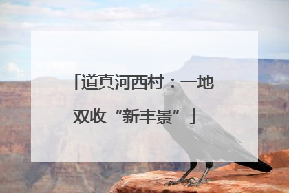 道真河西村：一地双收“新丰景”