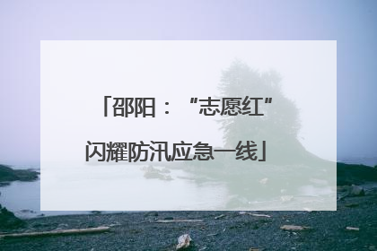邵阳：“志愿红”闪耀防汛应急一线